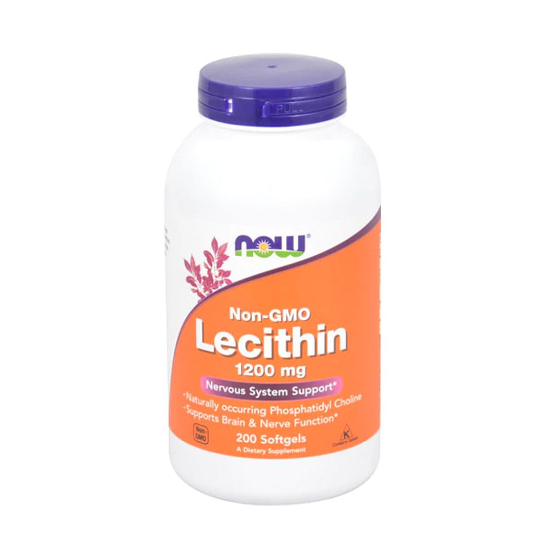 NOW FOOD LECITHIN 1200mg 200 SGELS - Organic Basic Food